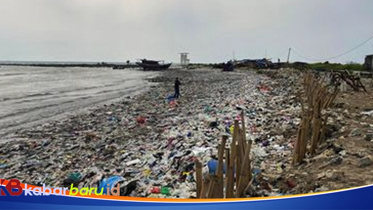 Ikan Paus yang Buang Sampah di Pantai Teluk?